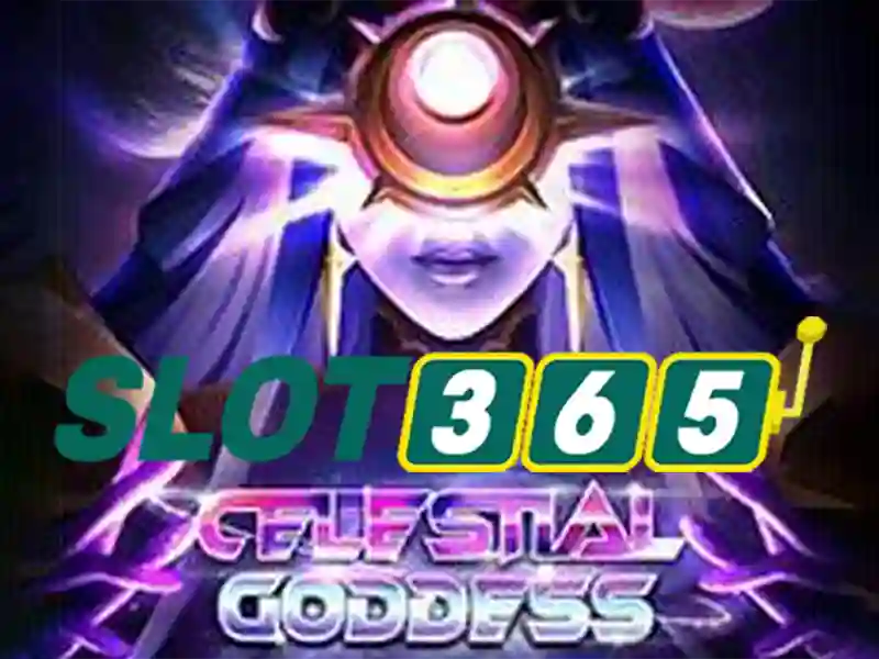 Slot365 là gì?