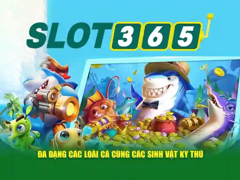 An toàn và trách nhiệm khi chơi