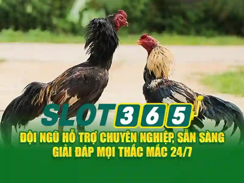 Cách tham gia và nhận thưởng