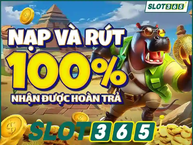 Slot365 là gì? Nền tảng slot trực tuyến hàng đầu Giao diện nhà cái hoàn hảo