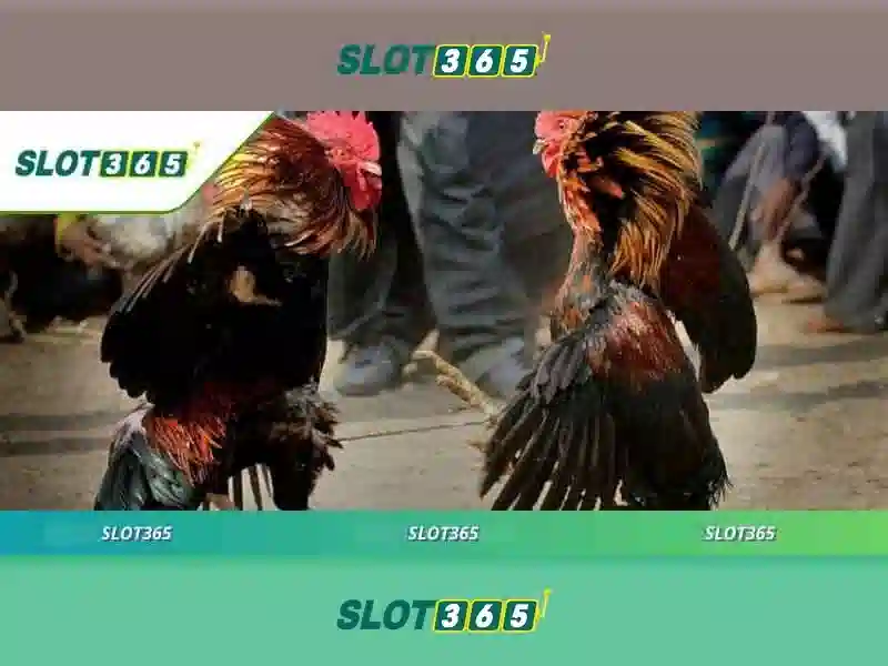 link dự phòng Slot365 – Tổng quan chủ đề và Giá trị cốt lõi