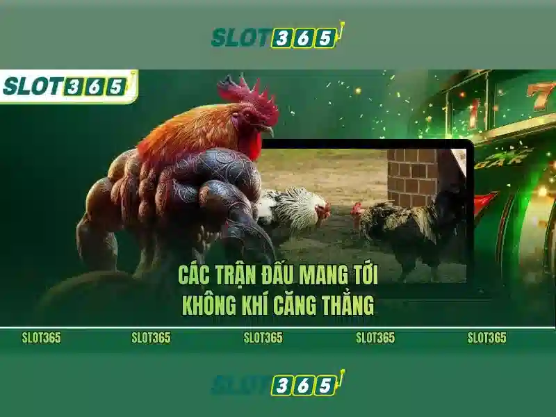 Slot365: Trai nghiem casino truc tuyen va tro choi slot Giao diện nhà cái hoàn hảo
