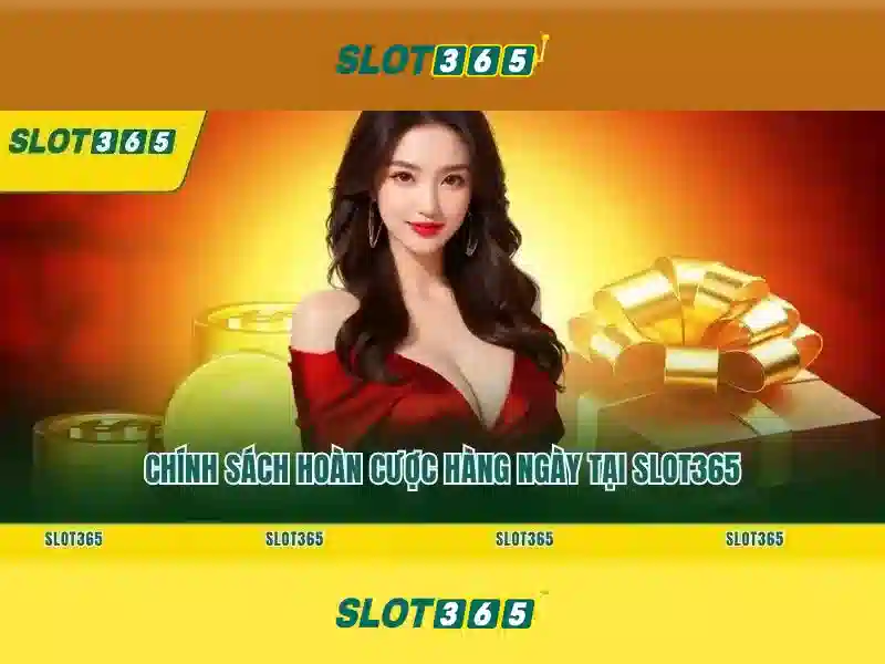 Cải tiến giao diện và trải nghiệm người dùng
