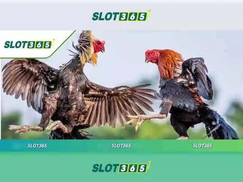 Slot365 – Đánh giá và trải nghiệm casino trực tuyến hàng đầu Giao diện nhà cái hoàn hảo