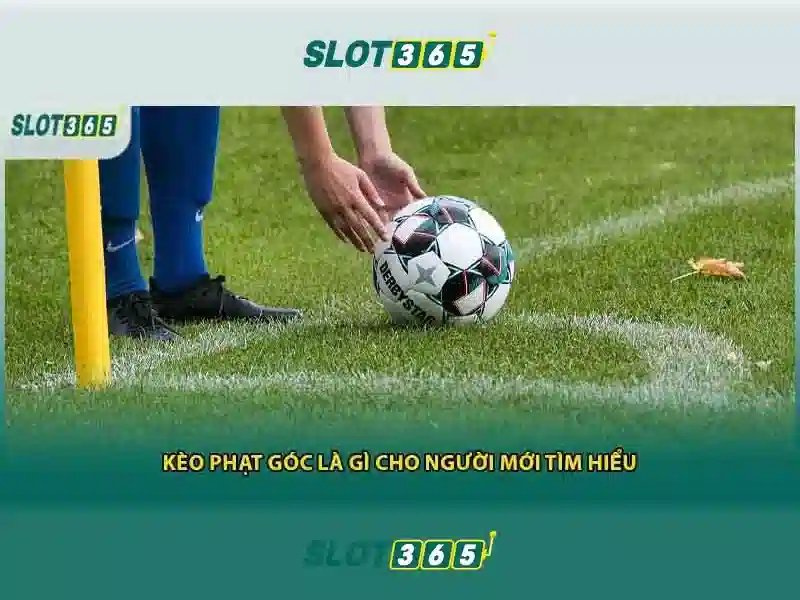 Slot365 – Nền tảng slot trực tuyến hàng đầu Giao diện nhà cái hoàn hảo