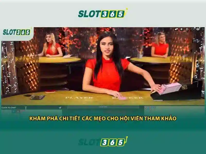 Kết luận về Slot365 và tầm nhìn