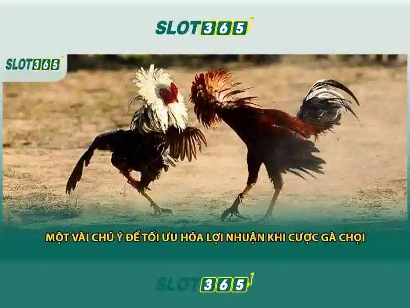 Cách tham gia và an toàn