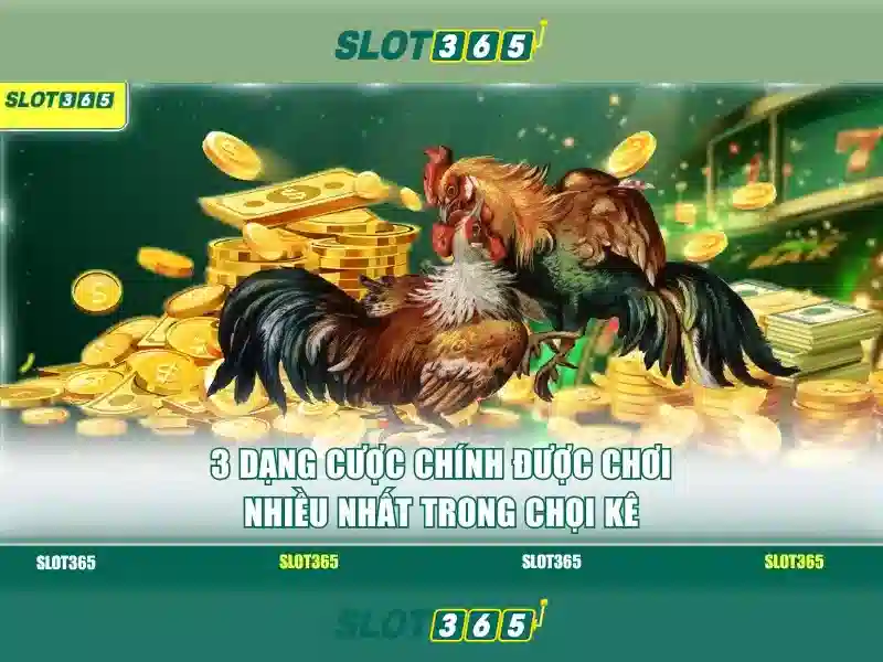 Slot365 – Nền tảng giải trí trực tuyến hàng đầu