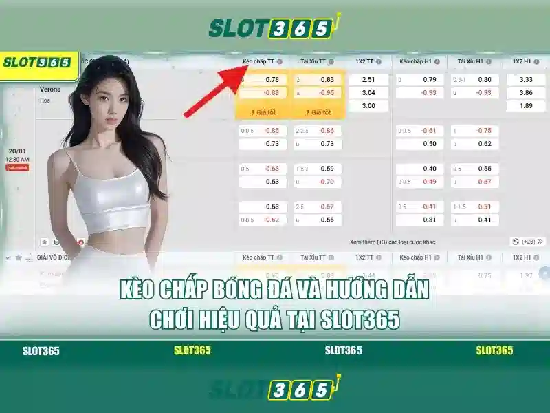 Slot365 – Nền tảng đánh bạc trực tuyến đáng tin cậy