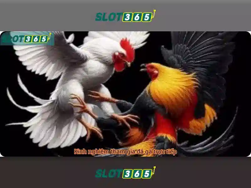 Slot365: Trải nghiệm slot trực tuyến hiện đại và an toàn Giao diện nhà cái hoàn hảo