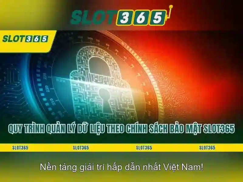 Trải nghiệm người dùng và giao diện