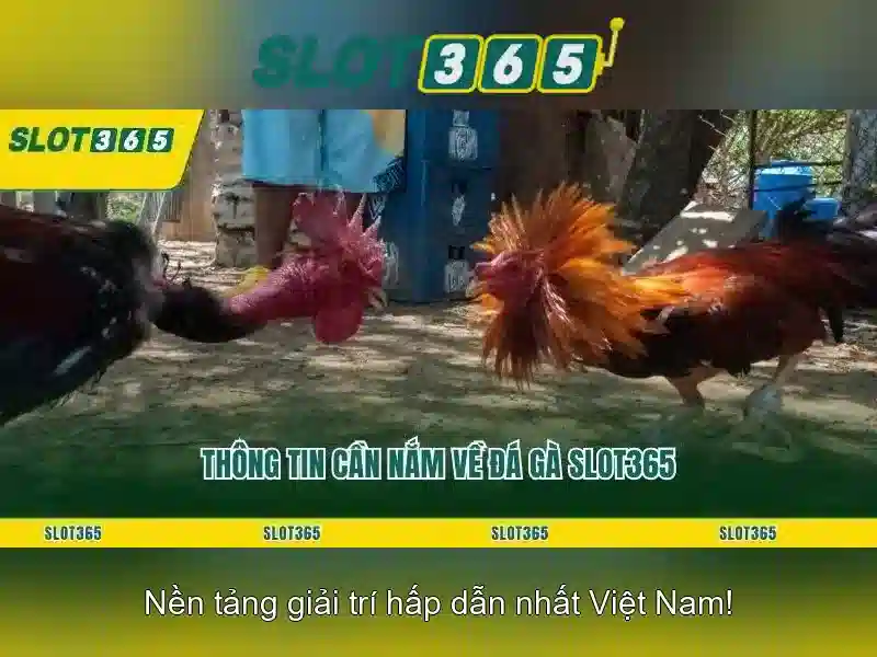 Danh mục trò chơi nổi bật