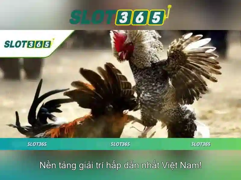 Slot365 - Giới thiệu và đánh giá nền tảng máy slot trực tuyến Giao diện nhà cái hoàn hảo