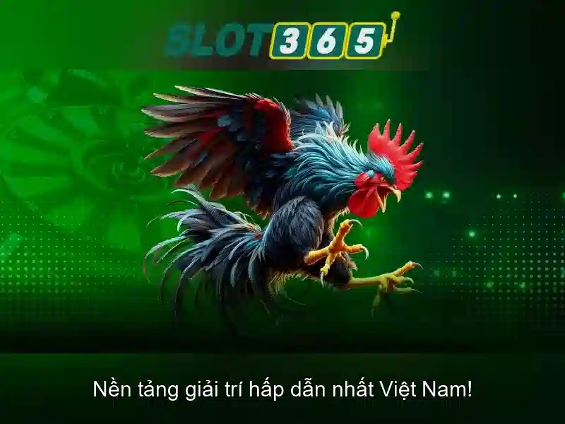 Trò chơi và danh mục slot phổ biến