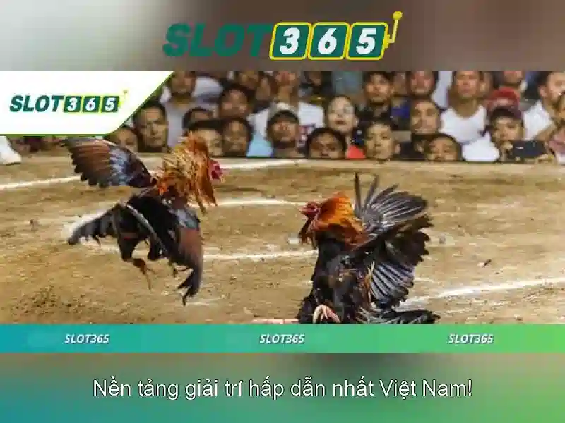 Giao diện nhà cái hoàn hảo