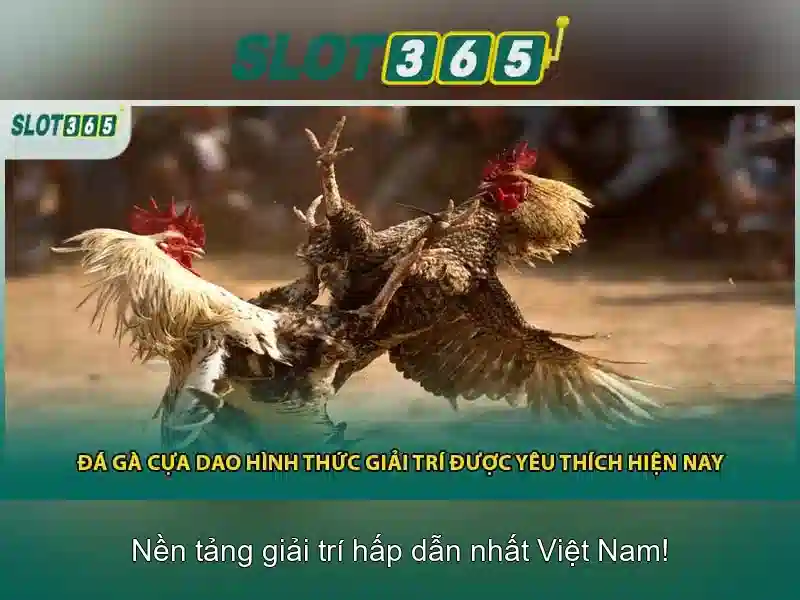 Chính sách bonus và khuyến mãi