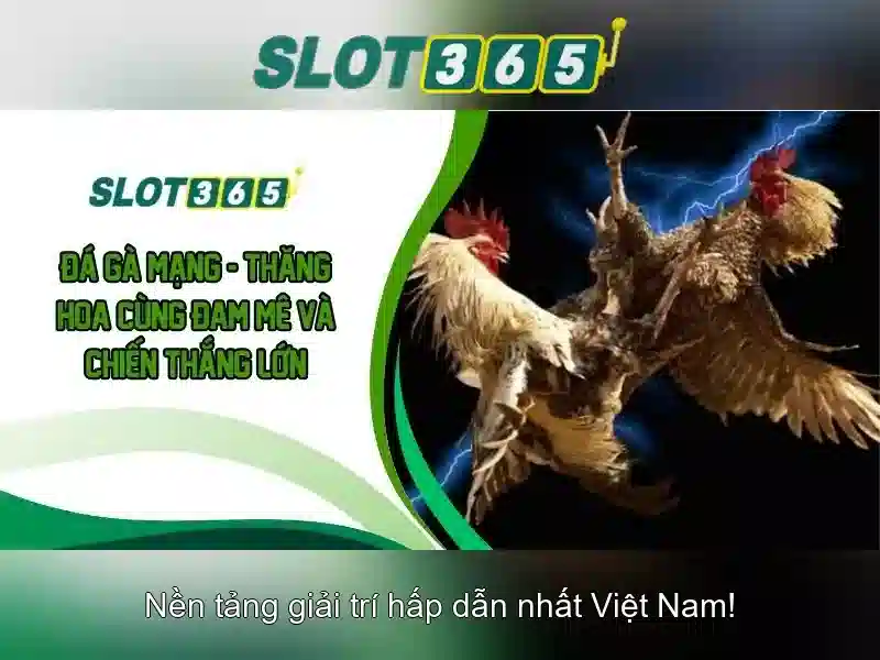 Trải nghiệm người dùng và phản hồi từ cộng đồng