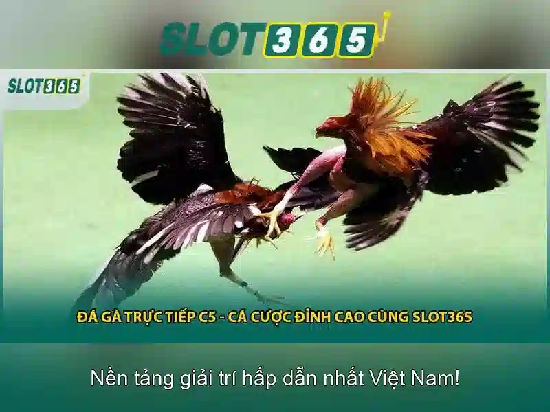 Trò chơi và bộ lọc phù hợp với người chơi Việt