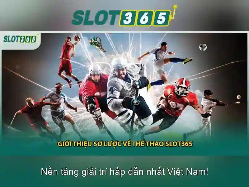 Khuyến mãi và chương trình thưởng