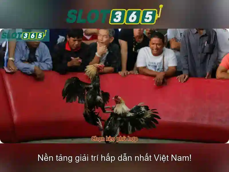 Danh mục trò chơi và máy đánh bạc