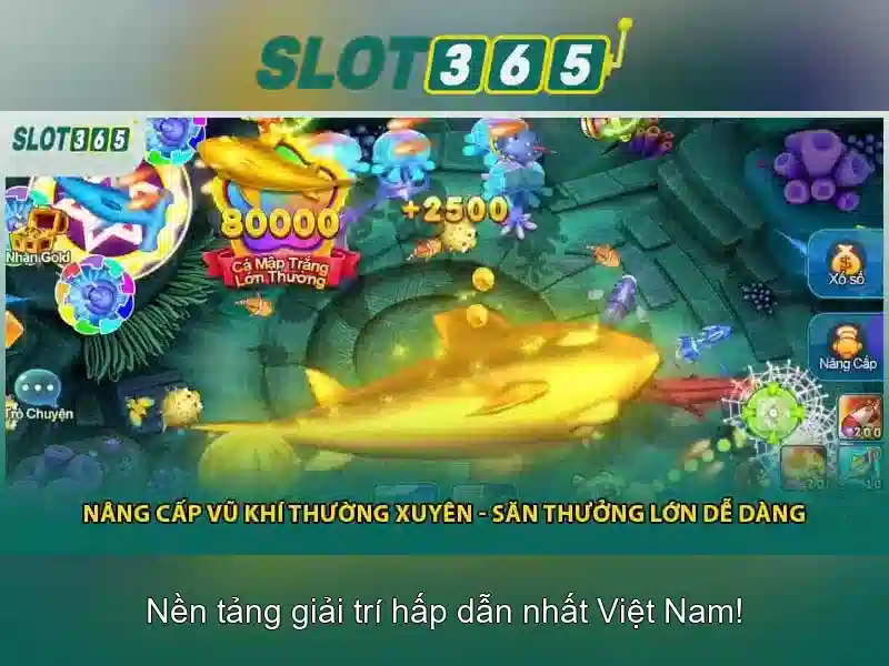 Giao diện và trải nghiệm người dùng